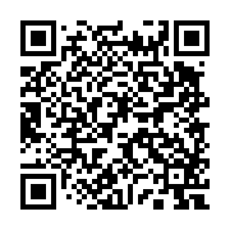 QR code for 13P486