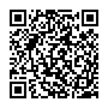 QR code for 13Q453