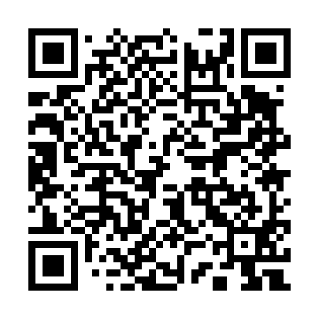 QR code for 13Q491