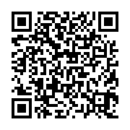 QR code for 13S501