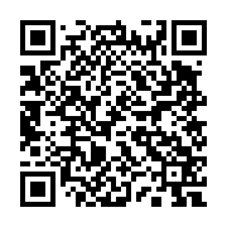 QR code for 13W463