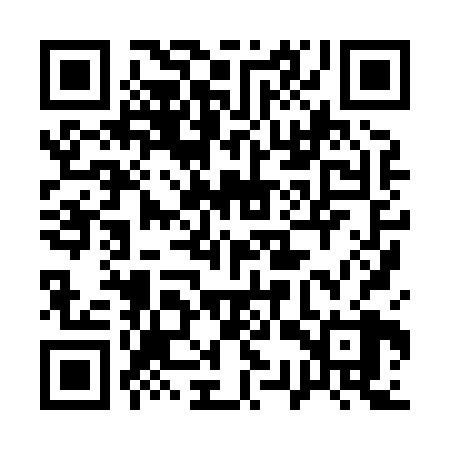 QR code for 13X828