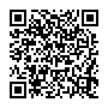 QR code for 13Z272