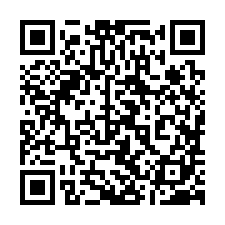 QR code for 13Z381