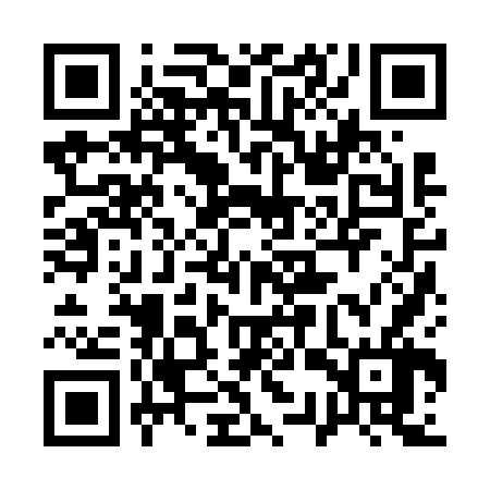 QR code for 13Z666