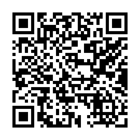 QR code for 141Z95