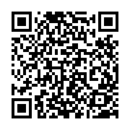 QR code for 161LMZ