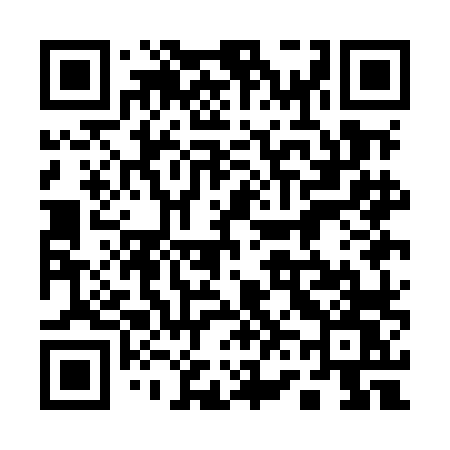 QR code for 161MLW