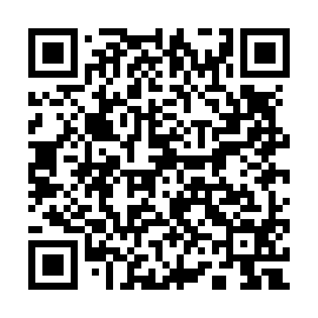 QR code for 161N94