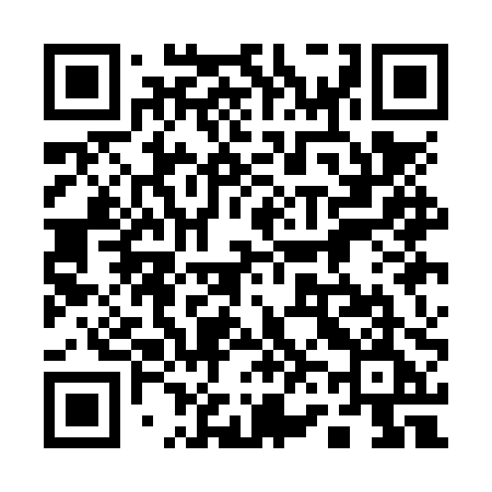 QR code for 161NPE