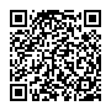 QR code for 161P75