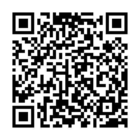 QR code for 161P95