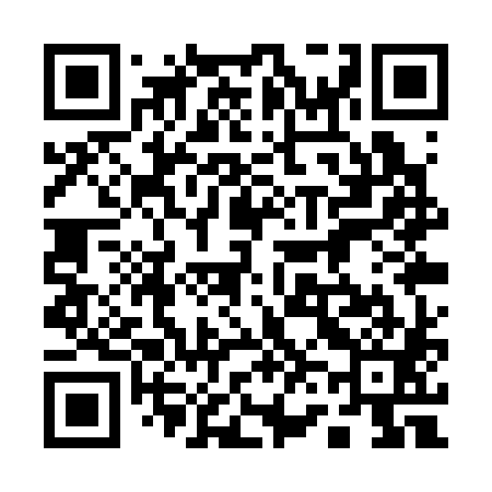 QR code for 161S81