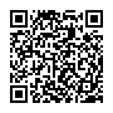 QR code for 161Z13