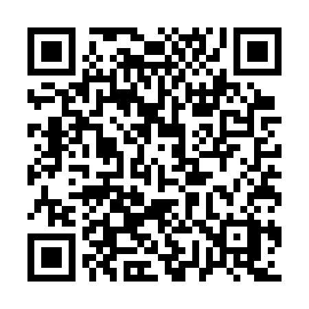 QR code for 175SSX