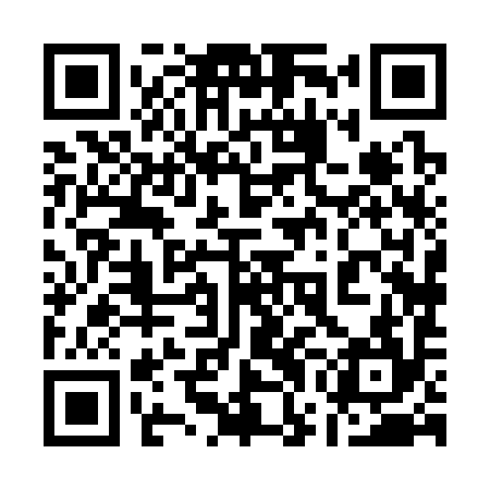 QR code for 17H394
