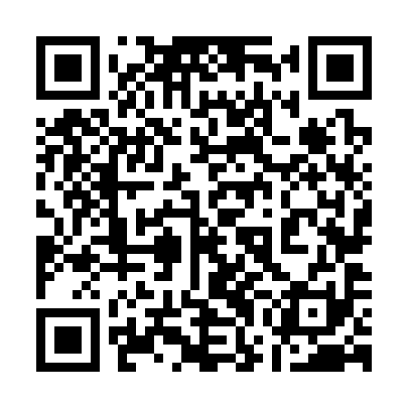 QR code for 17N391