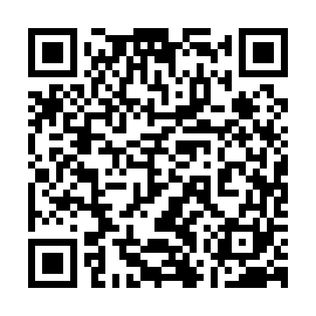 QR code for 17Q161
