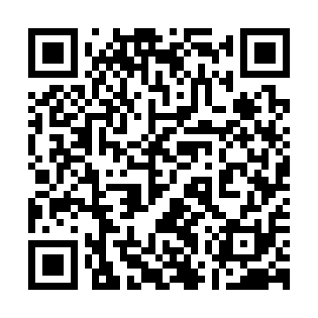 QR code for 17W311