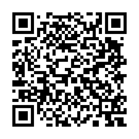 QR code for 17Y411