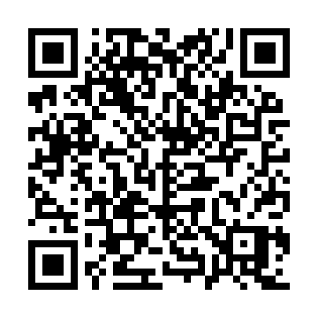 QR code for 193IPP