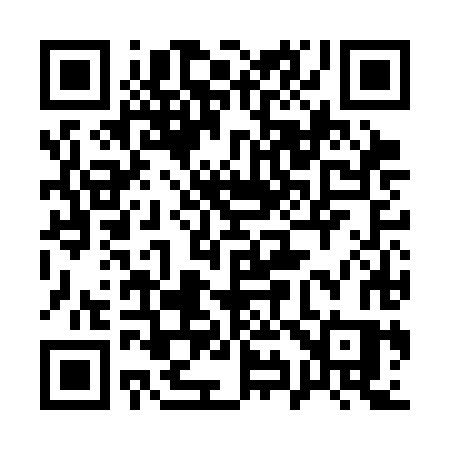 QR code for 196CHS