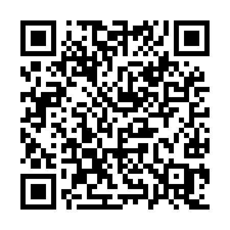 QR code for 196MIC