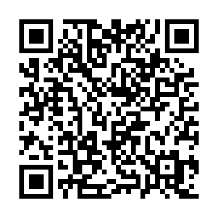 QR code for 196PBM