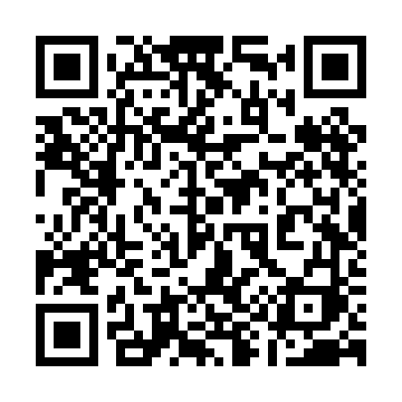 QR code for 196PFI