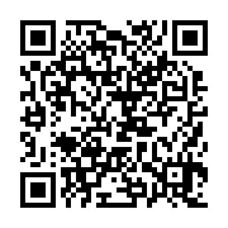 QR code for 19P234
