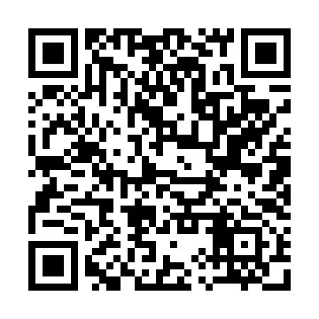 QR code for 19Q493