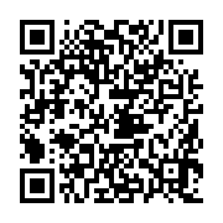 QR code for 19Q594
