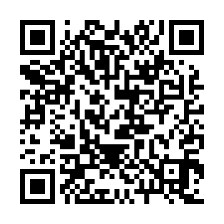 QR code for 203L11