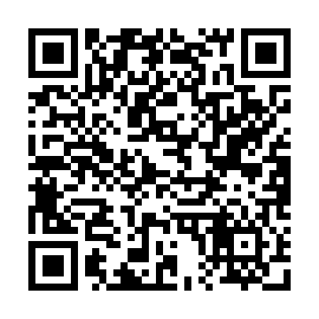 QR code for 205O06