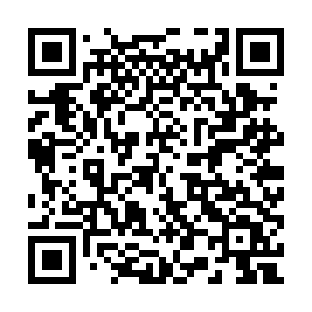 QR code for 207PDT