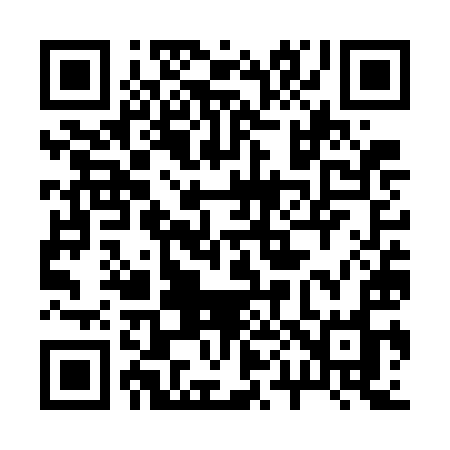 QR code for 207WIO