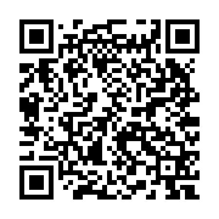 QR code for 207Z60