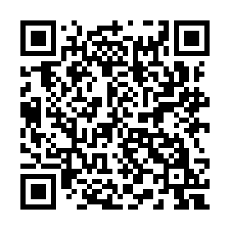 QR code for 209ICO
