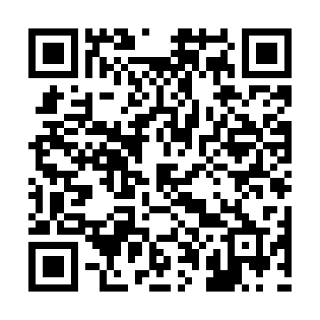 QR code for 209MSP