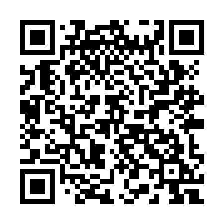 QR code for 209ZIG