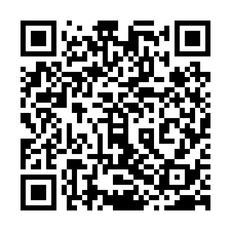 QR code for 20G238
