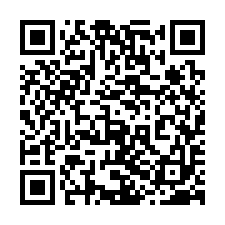 QR code for 20G393