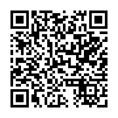 QR code for 20G463