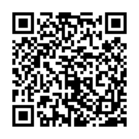 QR code for 20I493