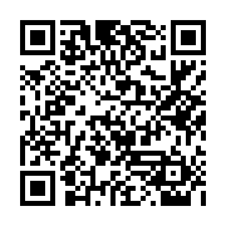 QR code for 20L411