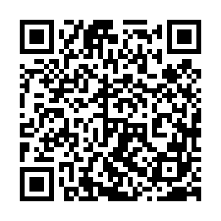 QR code for 20X462