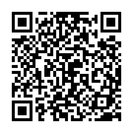 QR code for 210UDI