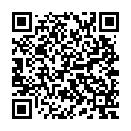 QR code for 210W96