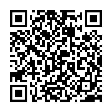 QR code for 212P13