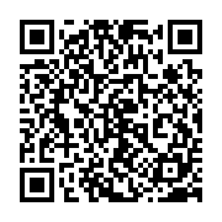 QR code for 213C55